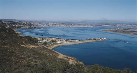 San Diego considered ‘greenest’ US city of 2023: study